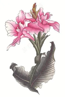 写意花卉设计图片素材 写意花卉设计图片素材