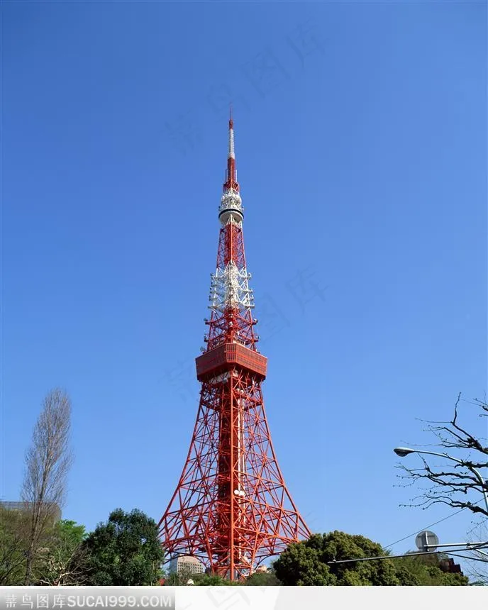 铁塔 树木 蓝天