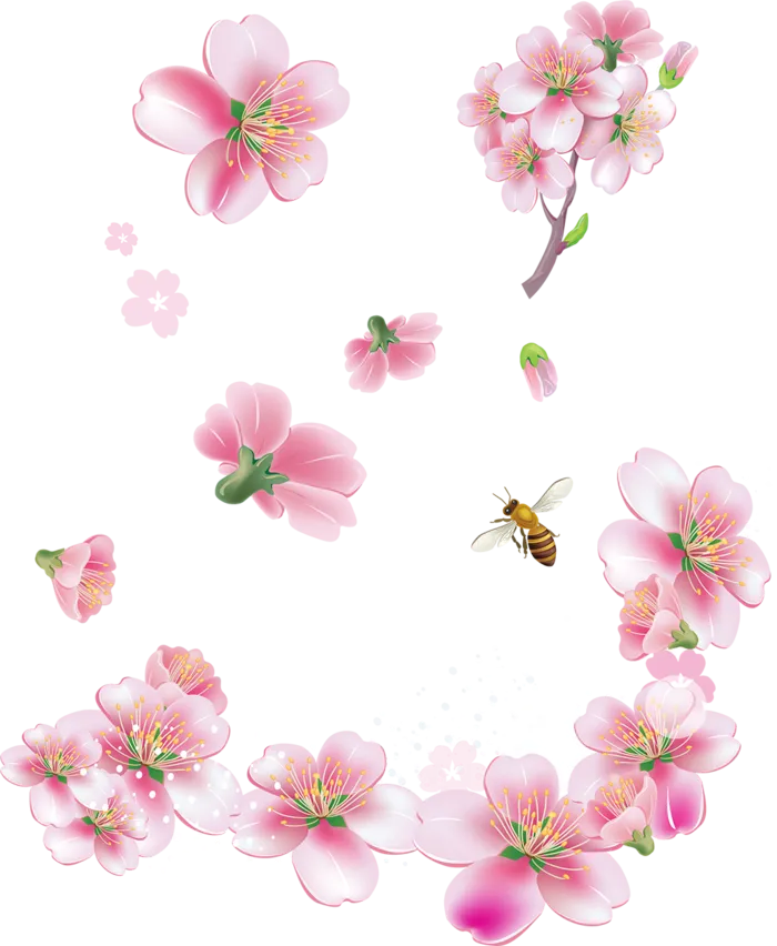 樱花卡通花球谷雨