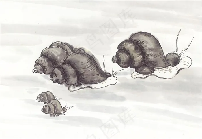 国画鱼虾蟹龟设计图片素材