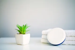 北欧简约绿植盆栽场景(57)