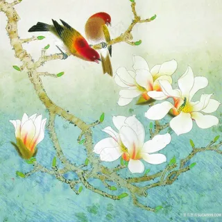 花鸟兰花插画 花鸟兰花插画