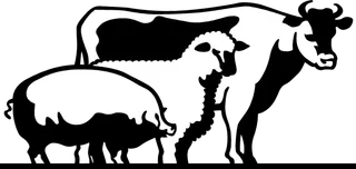 畜牧养殖现代农业