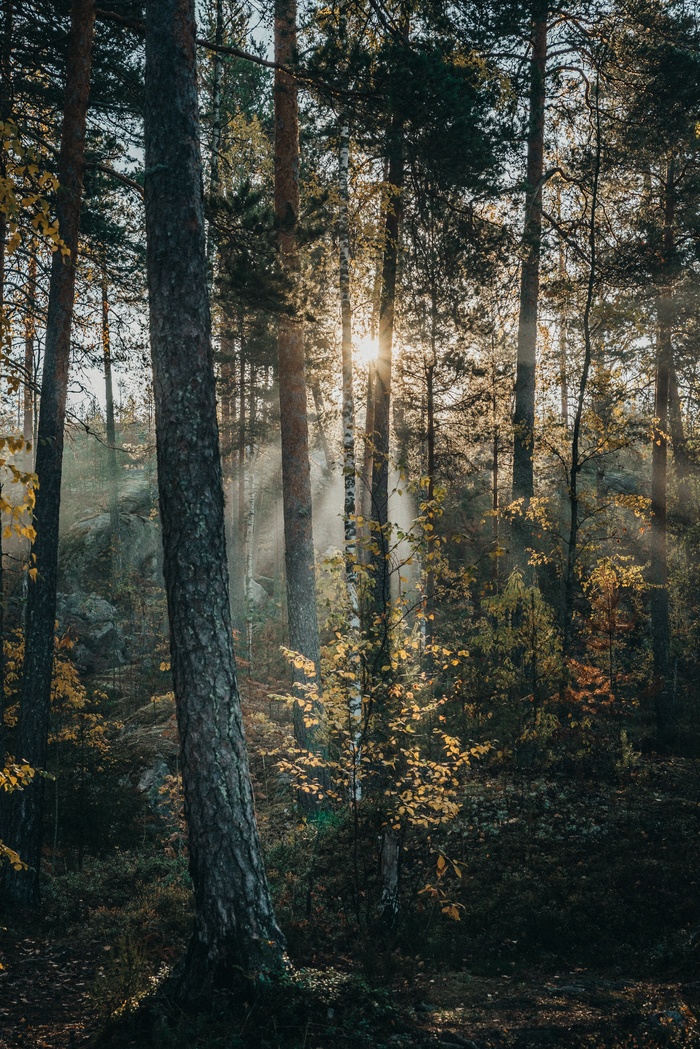 风景|唯美|湖泊|壁纸|背景