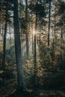 风景|唯美|湖泊|壁纸|背景 风景|唯美|湖泊|壁纸|背景