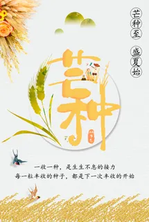 芒种稻谷海报 芒种稻谷海报