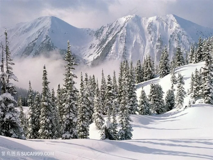 雪山雪景壁纸壁画