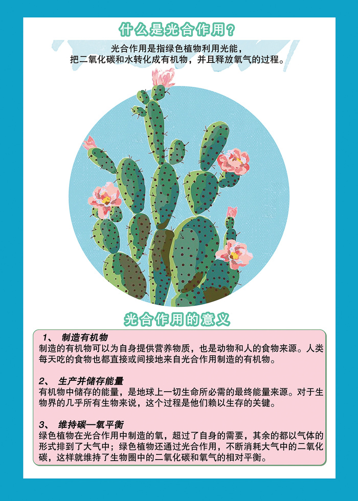 植物的光合作用科普知识海报psd模版下载