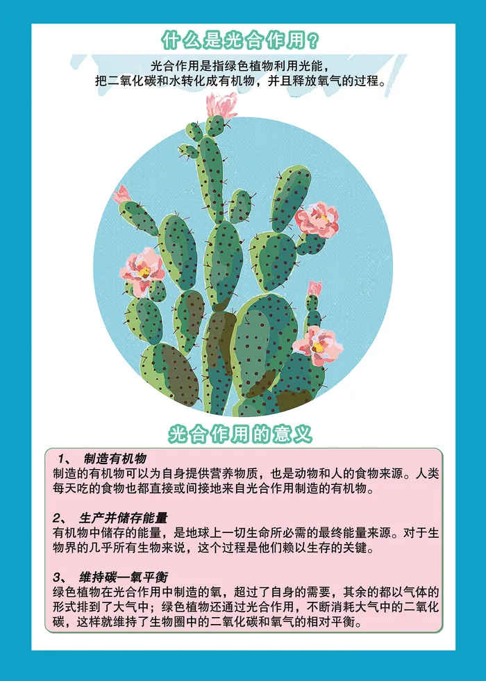 植物的光合作用科普知识海报