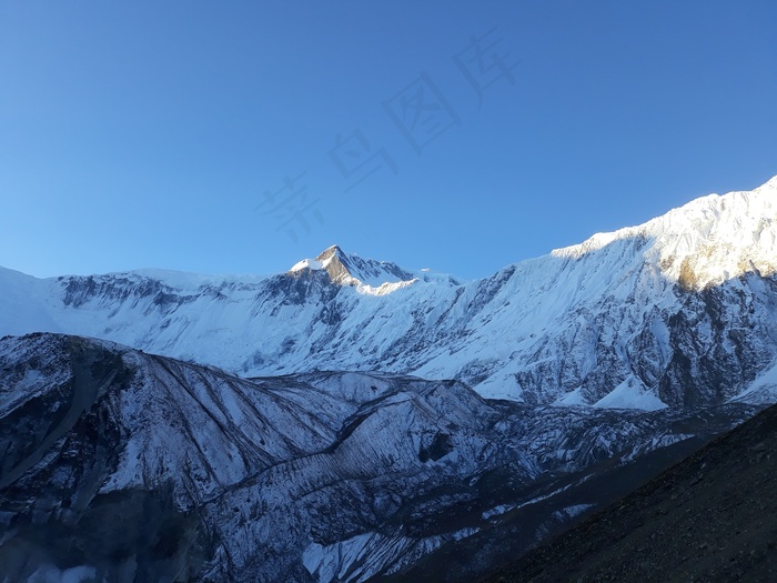 微距花朵摄影图片