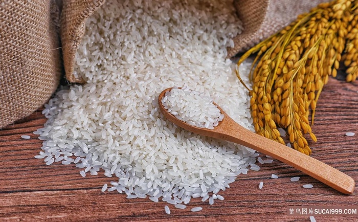 新鲜大米摄影图片