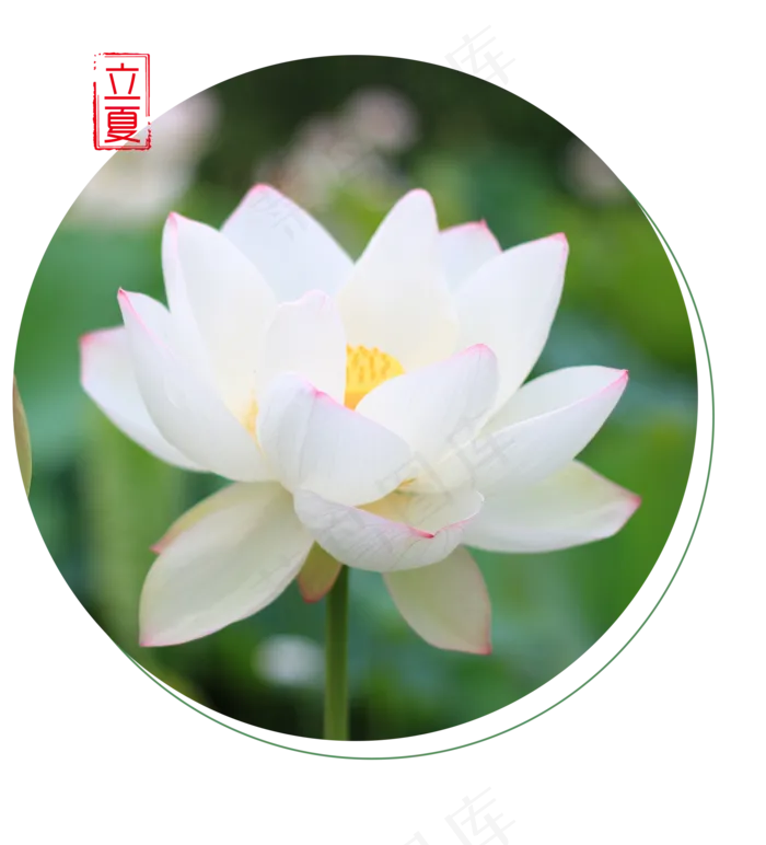 立夏节气免抠图片 
