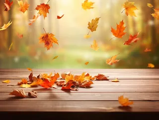 秋天的落叶落在了公园的长椅上摄影图