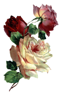 古典花卉png免扣素材