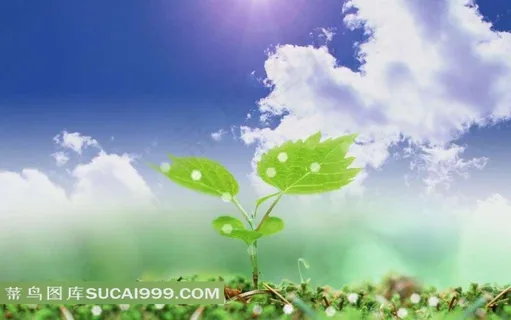 蓝天白云下的草地和嫩芽