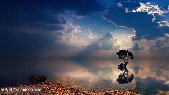 多云的天空大树大海唯美风景图片 多云的天空大树大海唯美风景图片