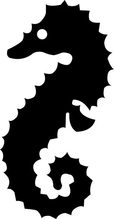 海马 PNG免抠(376x720)