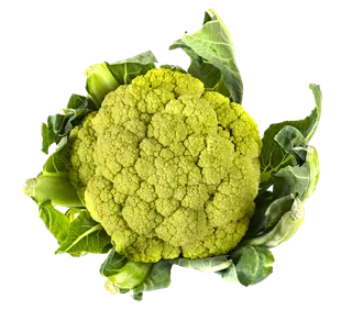 花椰菜 (2)超市商品白底图免抠实物摄影png格式图片透明底