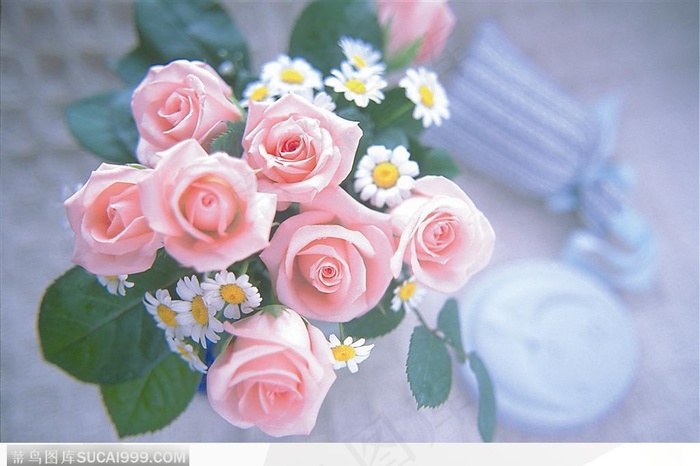 情人节花物语-玫瑰与白菊花