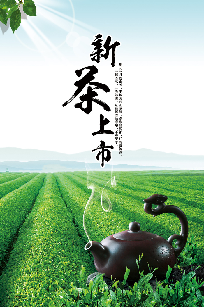 简洁春茶上市新茶上市海报