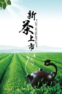 简洁春茶上市新茶上市海报