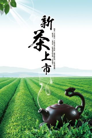 简洁春茶上市新茶上市海报
