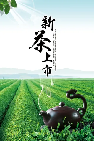 简洁春茶上市新茶上市海报