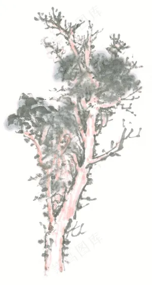 树木美图摄影图片