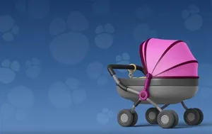 小宝宝的手推车