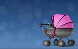 小宝宝的手推车