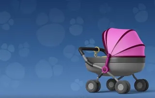 小宝宝的手推车