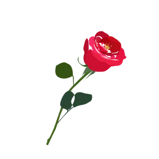 鲜花玫瑰免扣素材