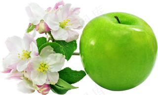 水果坚果鲜水果苹果免抠大苹果