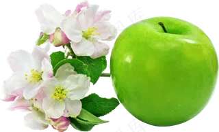 水果坚果鲜水果苹果免抠大苹果