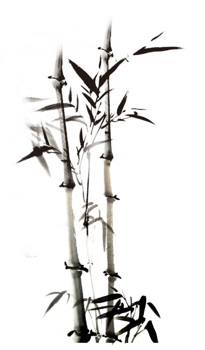 竹子水墨画中国风国画墨水书法竹子画
