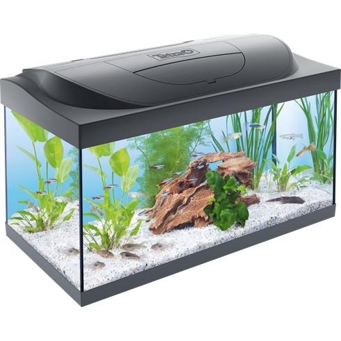 水族馆 PNG免抠