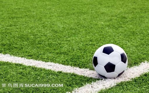 草地上停放的一个足球