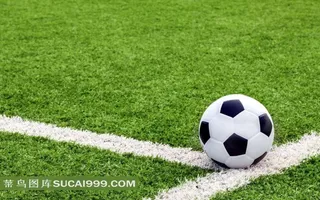 草地上停放的一个足球