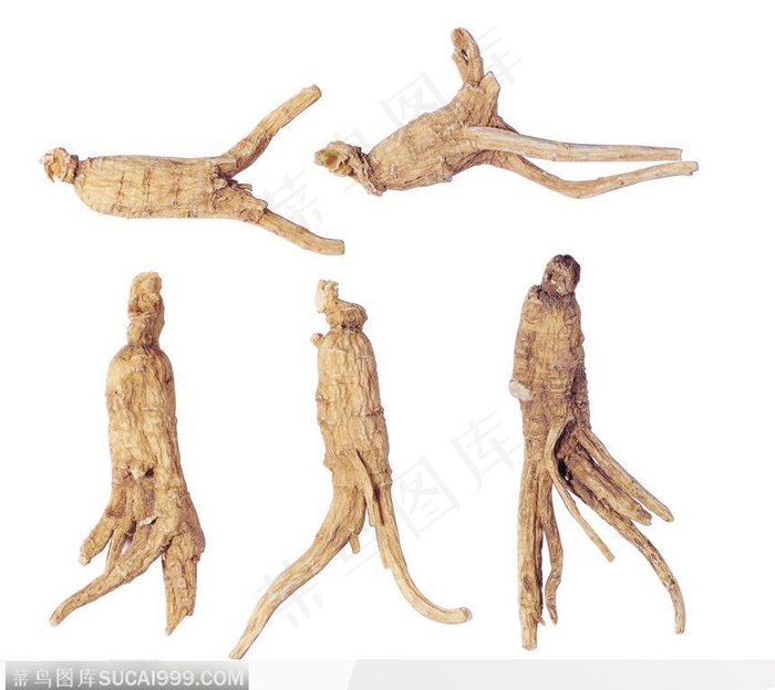 药材 中药 中草药 草本 中医药