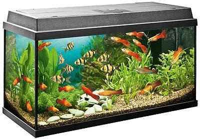 水族馆 PNG免抠(400x279)