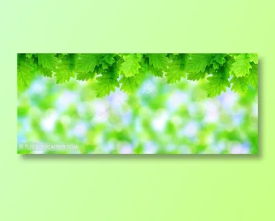 绿色树叶特写景色高清图片