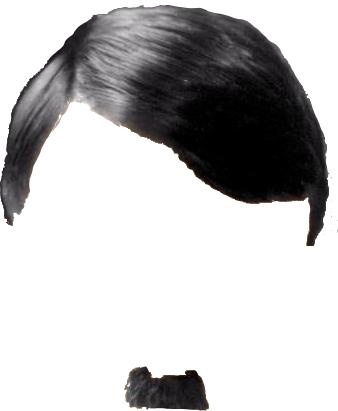 阿道夫·希特勒 PNG免抠(338x411)