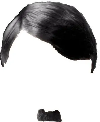 阿道夫·希特勒 PNG免抠