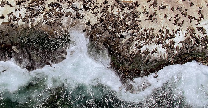 大海逐渐被污染