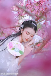 睡在桃树枝上的古装美女图片 睡在桃树枝上的古装美女图片