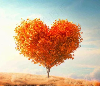 秋天爱心树木橙红色落叶蓝天温馨