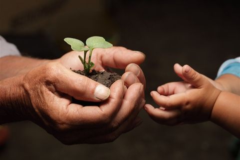老人手捧土壤给小孩的高清摄影