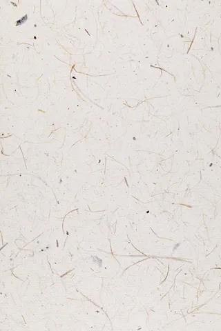 莎草纸张纹理纸张底纹海报设计背景牛皮纸