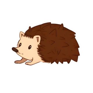 刺猬动物免抠