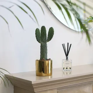 北欧简约绿植盆栽场景(36)